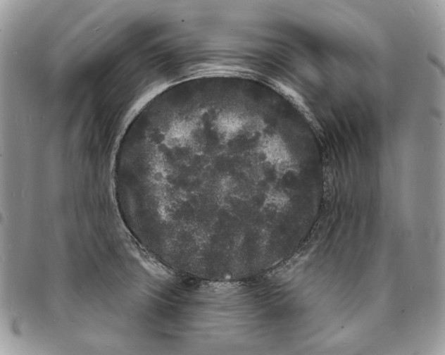X0000096391427200802141444