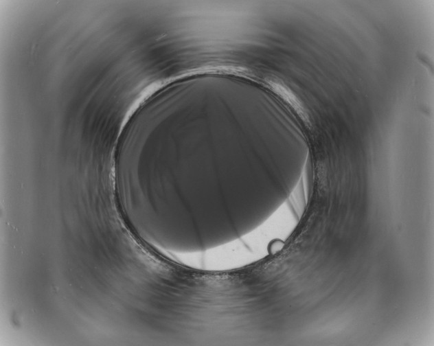 X0000096391428200802141444