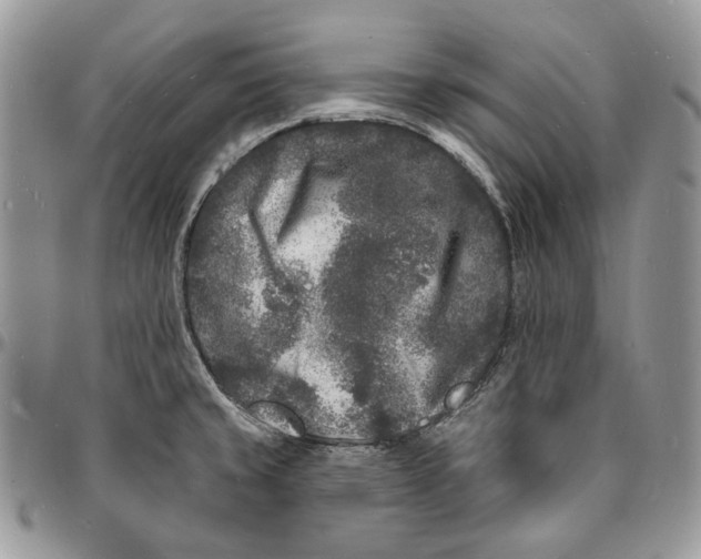X0000096391429200802141444