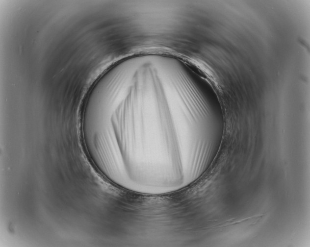 X0000096391430200802141444