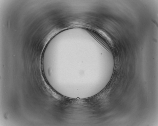 X0000096391431200802141444