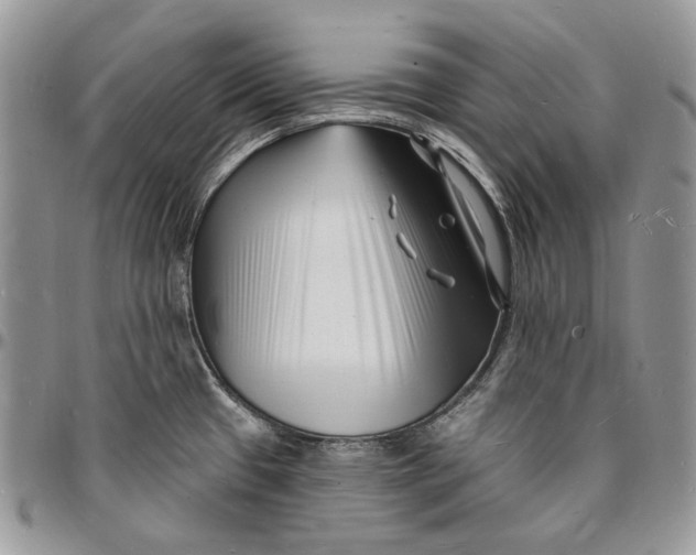 X0000096391433200802141444