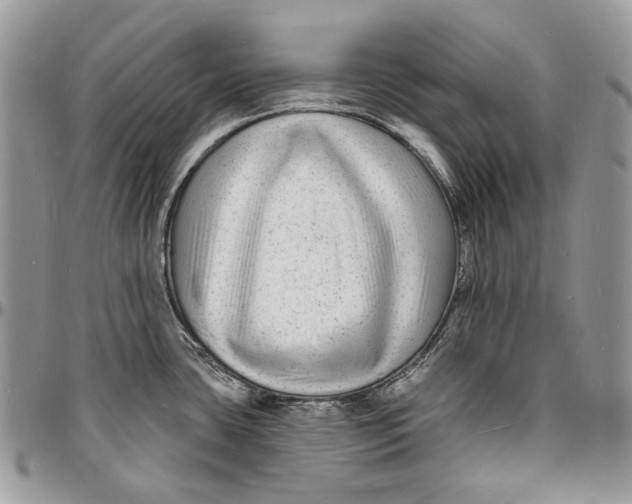 X0000096391435200802141444