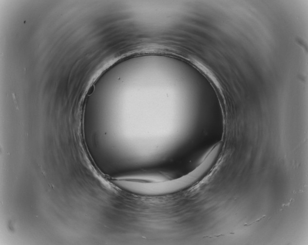 X0000096391437200802141444