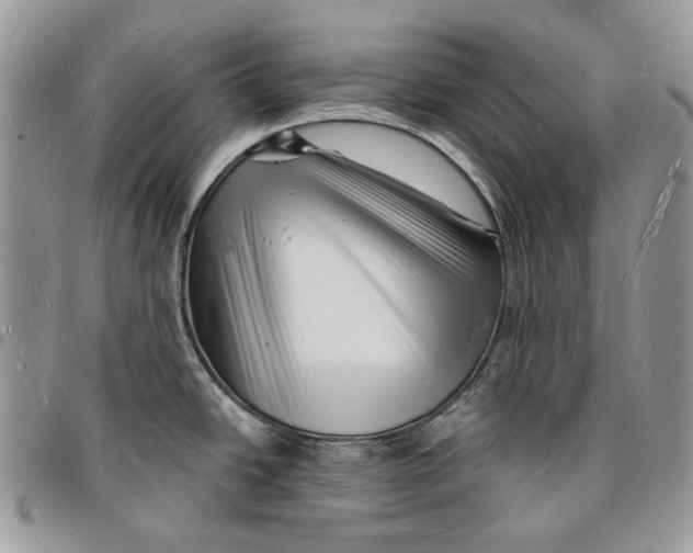 X0000096391438200802141444