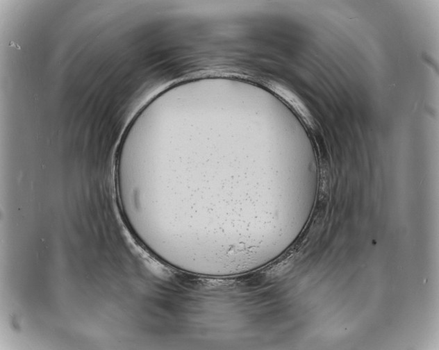 X0000096391439200802141444