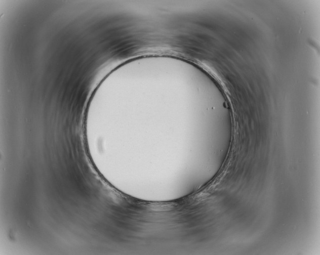 X0000096391440200802141444