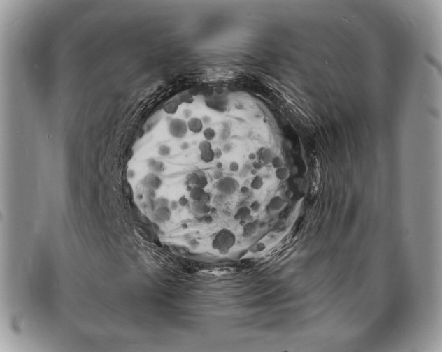 X0000096391441200802141444