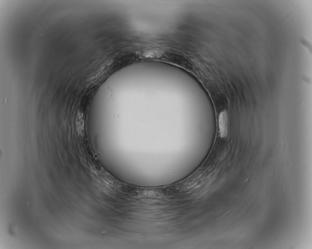X0000096391443200802141444