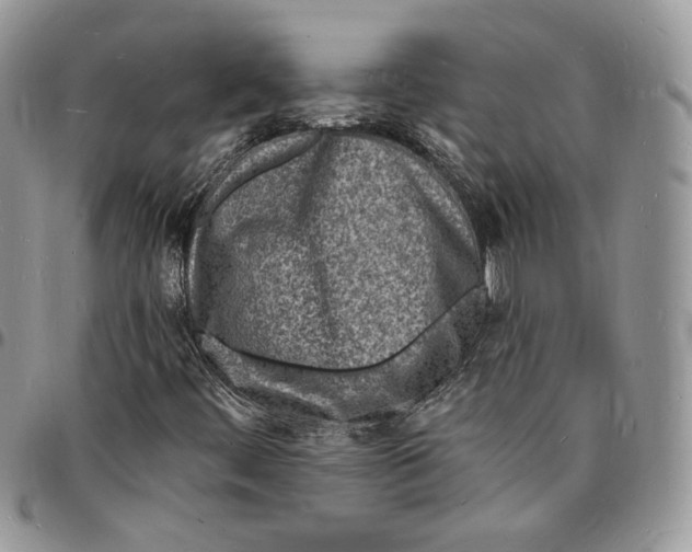 X0000096391444200802141444