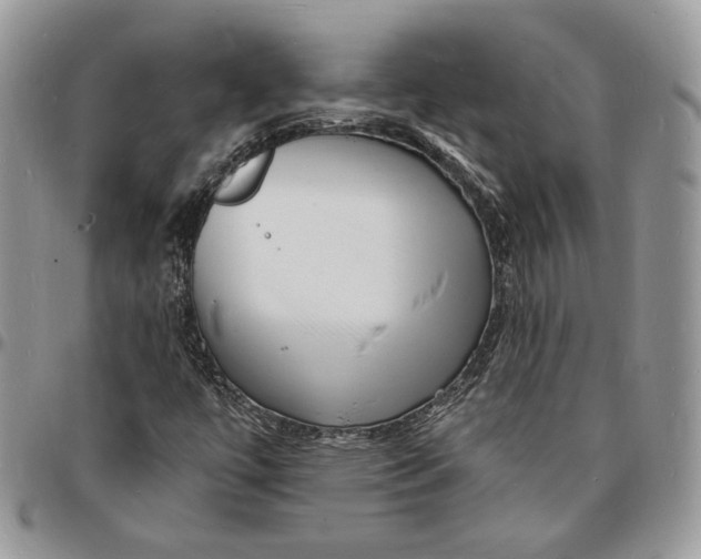X0000096391447200802141443