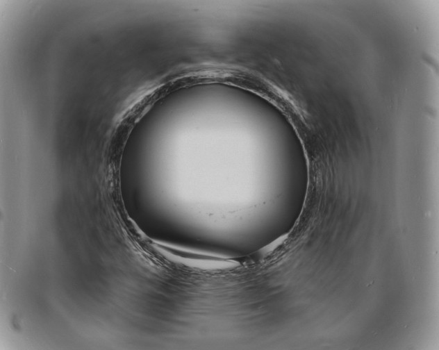 X0000096391448200802141443