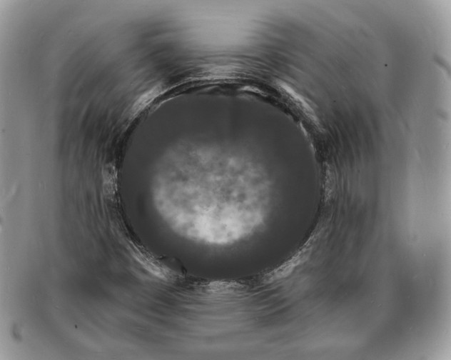 X0000096391449200802141443