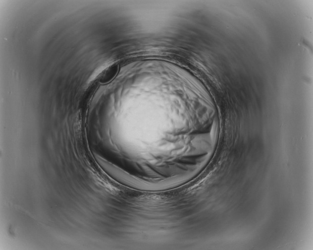 X0000096391450200802141443