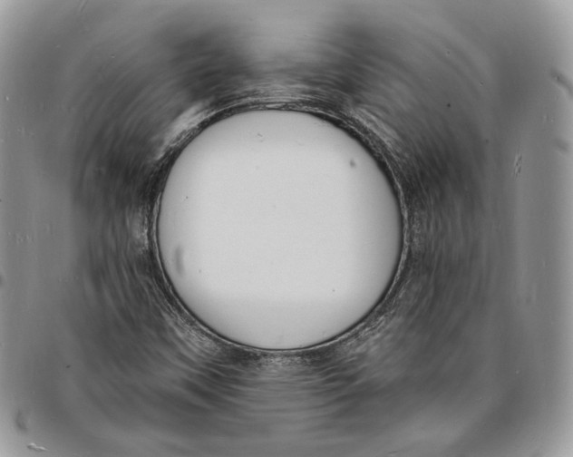 X0000096391451200802141443