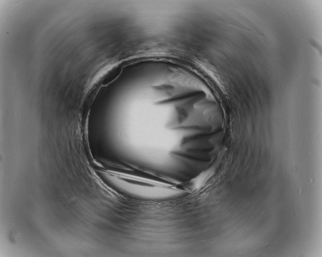 X0000096391452200802141443