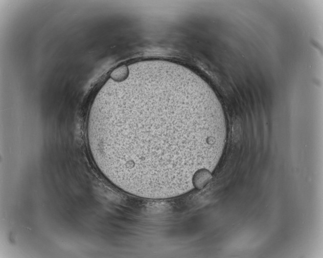 X0000096391454200802141443