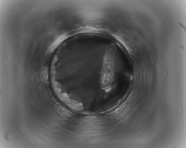 X0000096391455200802141443