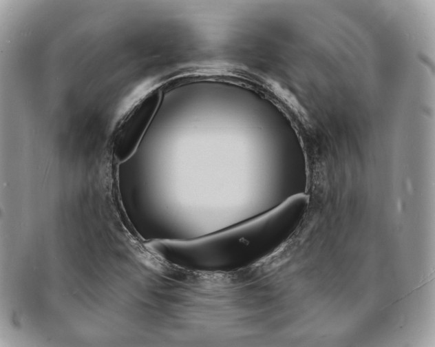 X0000096391456200802141443