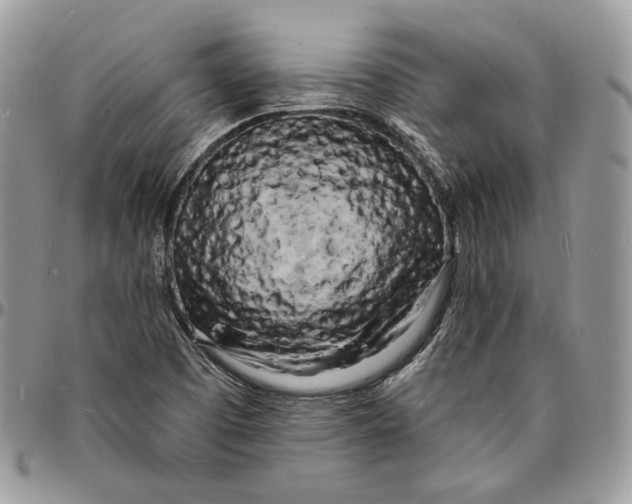 X0000096391457200802141443