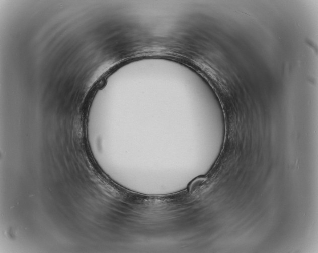 X0000096391458200802141443