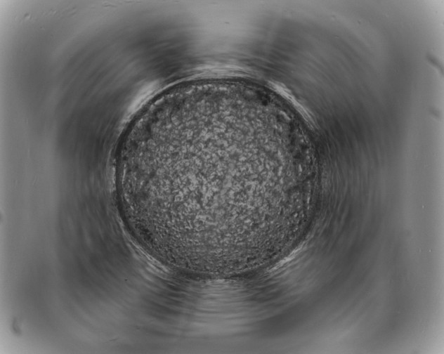 X0000096391459200802141443