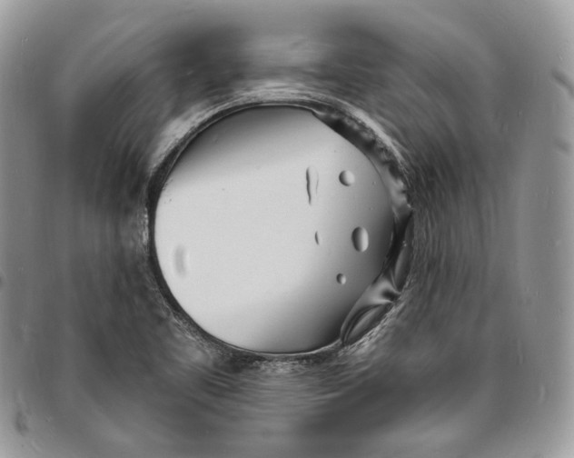 X0000096391461200802141443