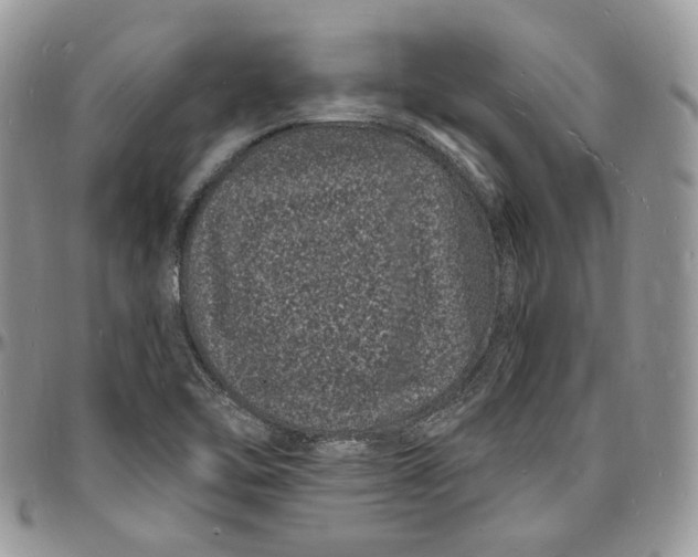 X0000096391462200802141443