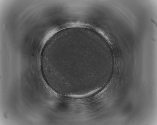 X0000096391463200802141443