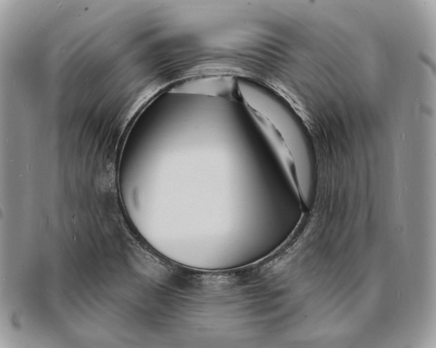 X0000096391465200802141443