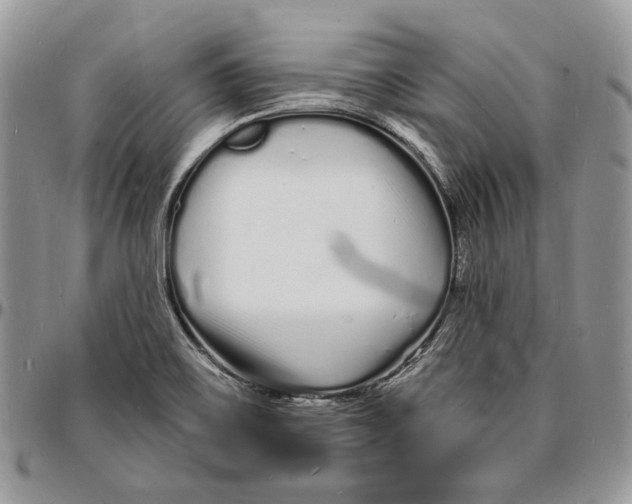 X0000096391467200802141443