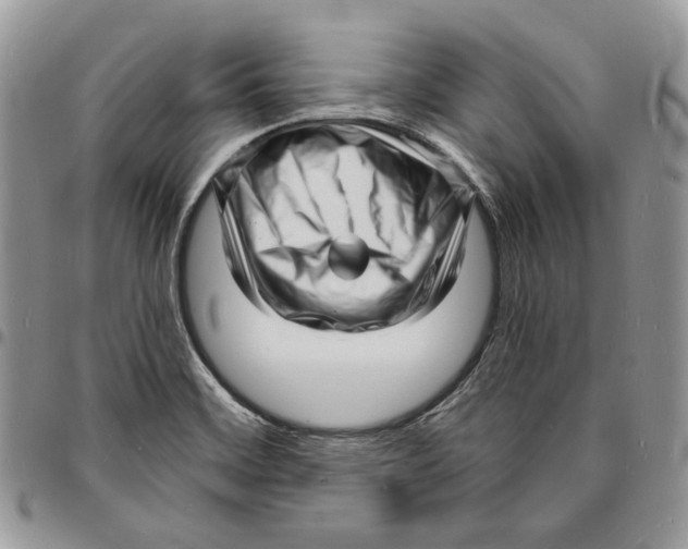 X0000096391468200802141443