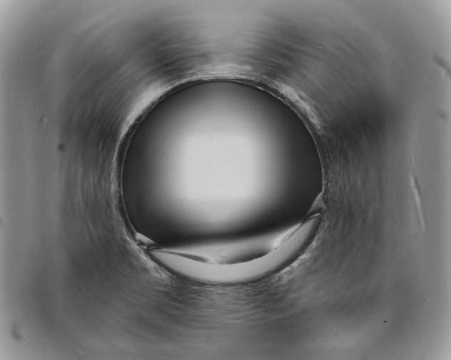 X0000096391469200802141443