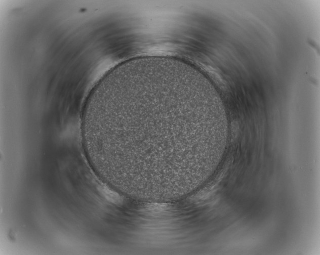 X0000096391470200802141443