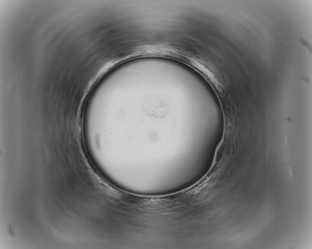 X0000096391471200802141443