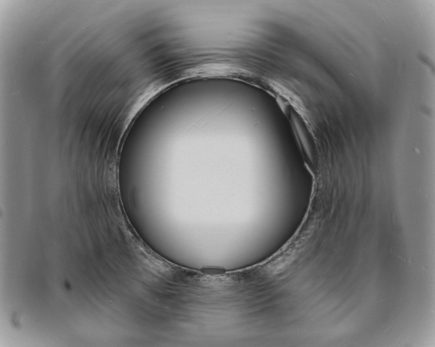 X0000096391473200802141443