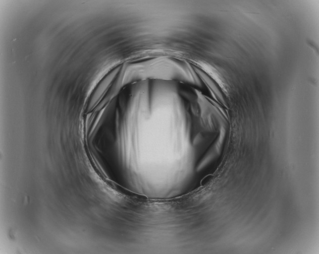 X0000096391476200802141443