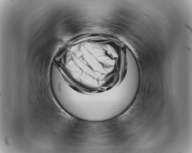 X0000096391477200802141443