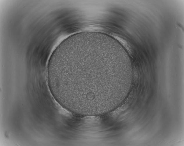 X0000096391478200802141443