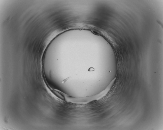 X0000096391479200802141443