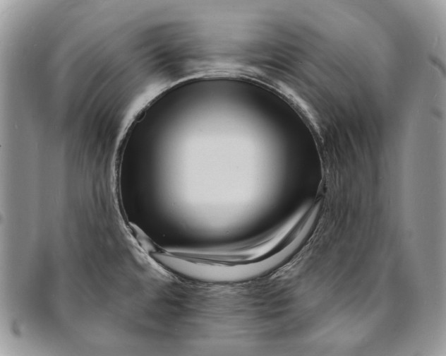 X0000096391480200802141443