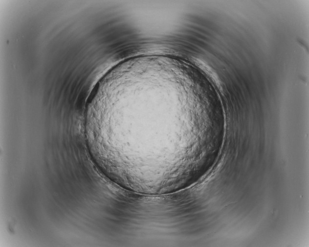 X0000096391481200802141443