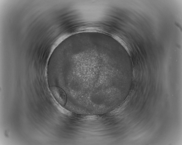 X0000096391482200802141443