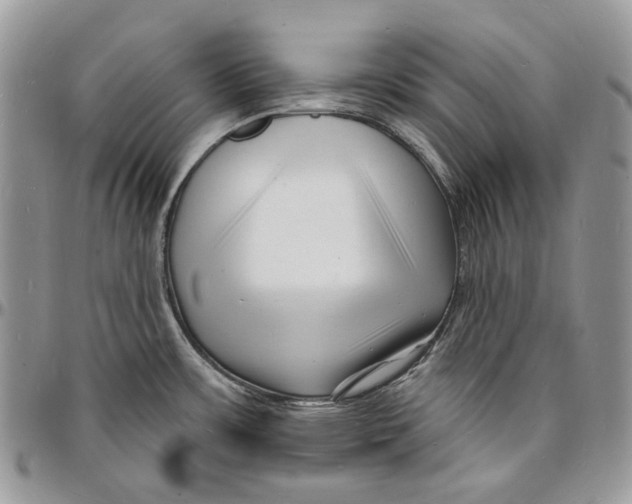 X0000096391483200802141443