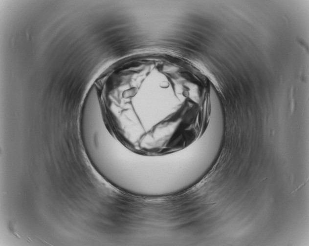 X0000096391484200802141443