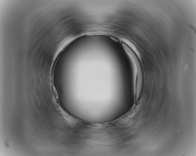 X0000096391485200802141443