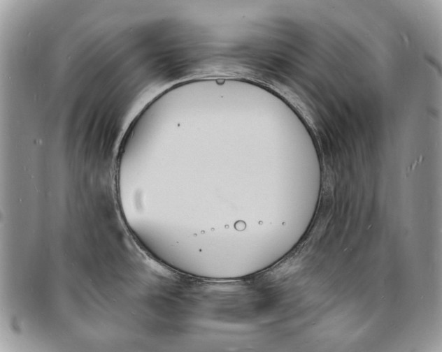 X0000096391486200802141443