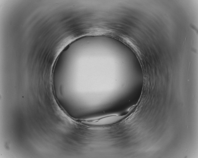 X0000096391487200802141443