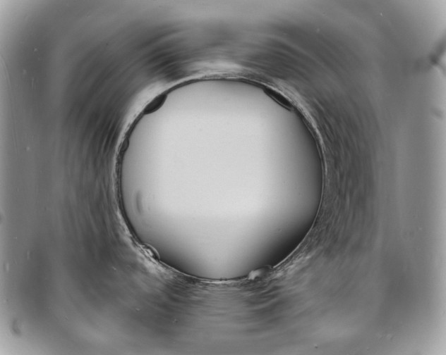 X0000096391488200802141443