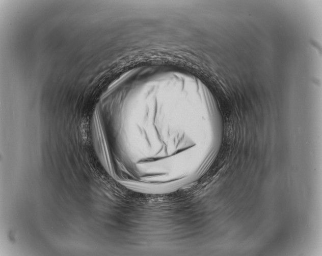 X0000096391490200802141442